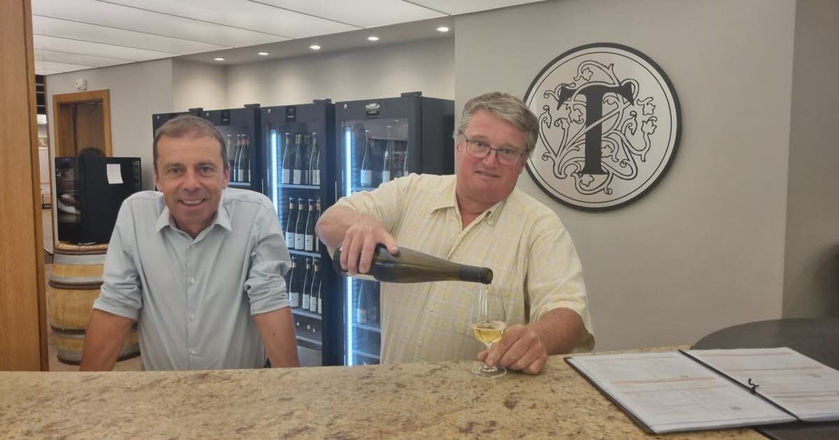 Turckheim. Bodega cooperativa: 70 años de pasión por el vino.