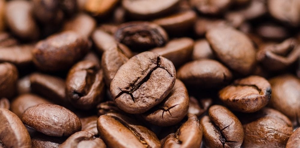 Exportaciones mexicanas de café marcan récord histórico con alza de 135% en mayo