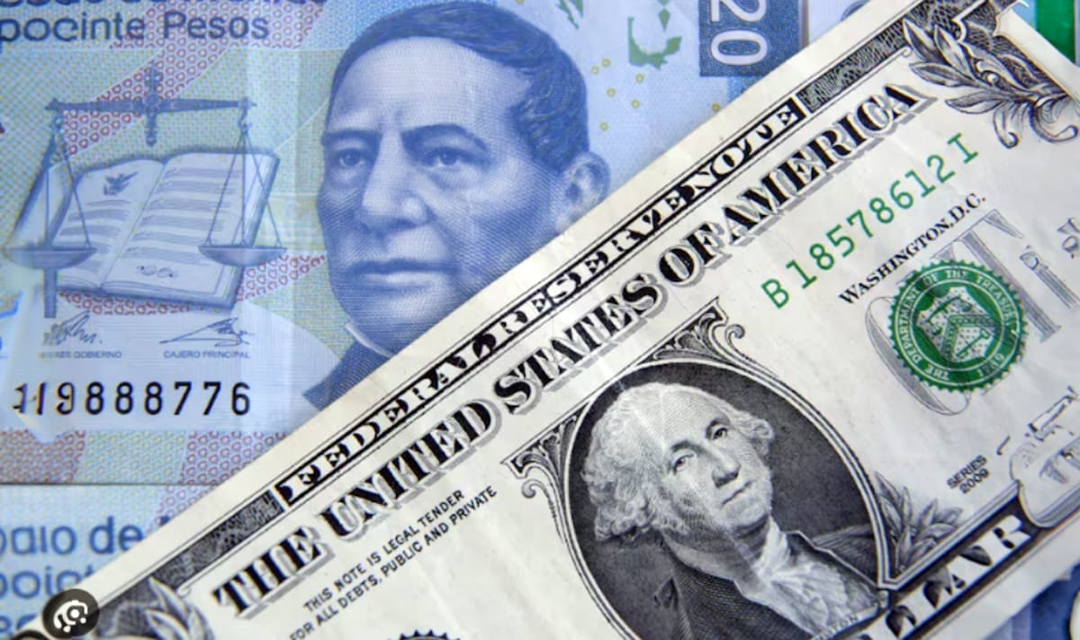 Preço do dólar hoje, 6 de setembro de 2025: taxa de câmbio nos bancos mexicanos