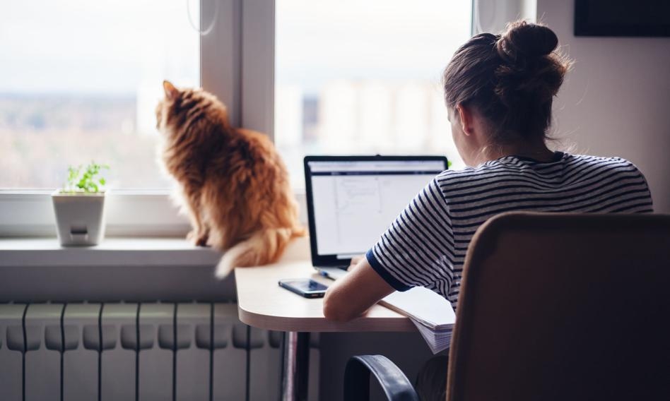 Les bureaux à domicile sous surveillance : les employeurs violent plus souvent les droits des employés