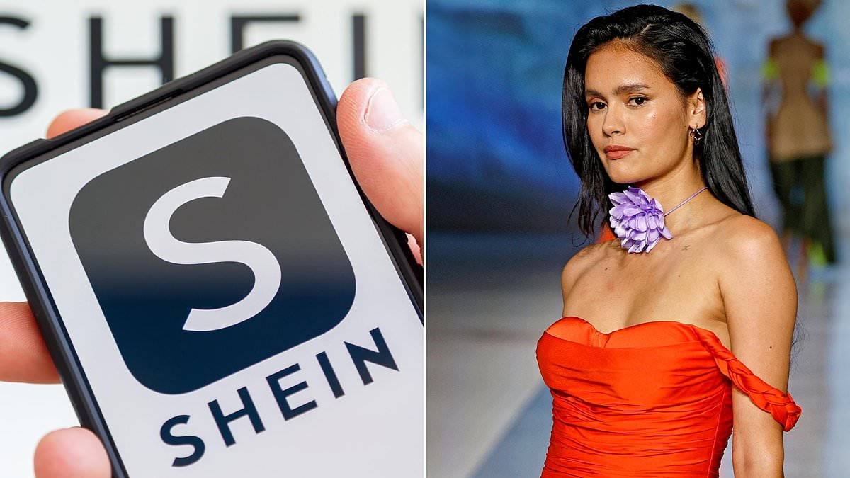 Budget rival dents profits at fast-fashion giant Shein