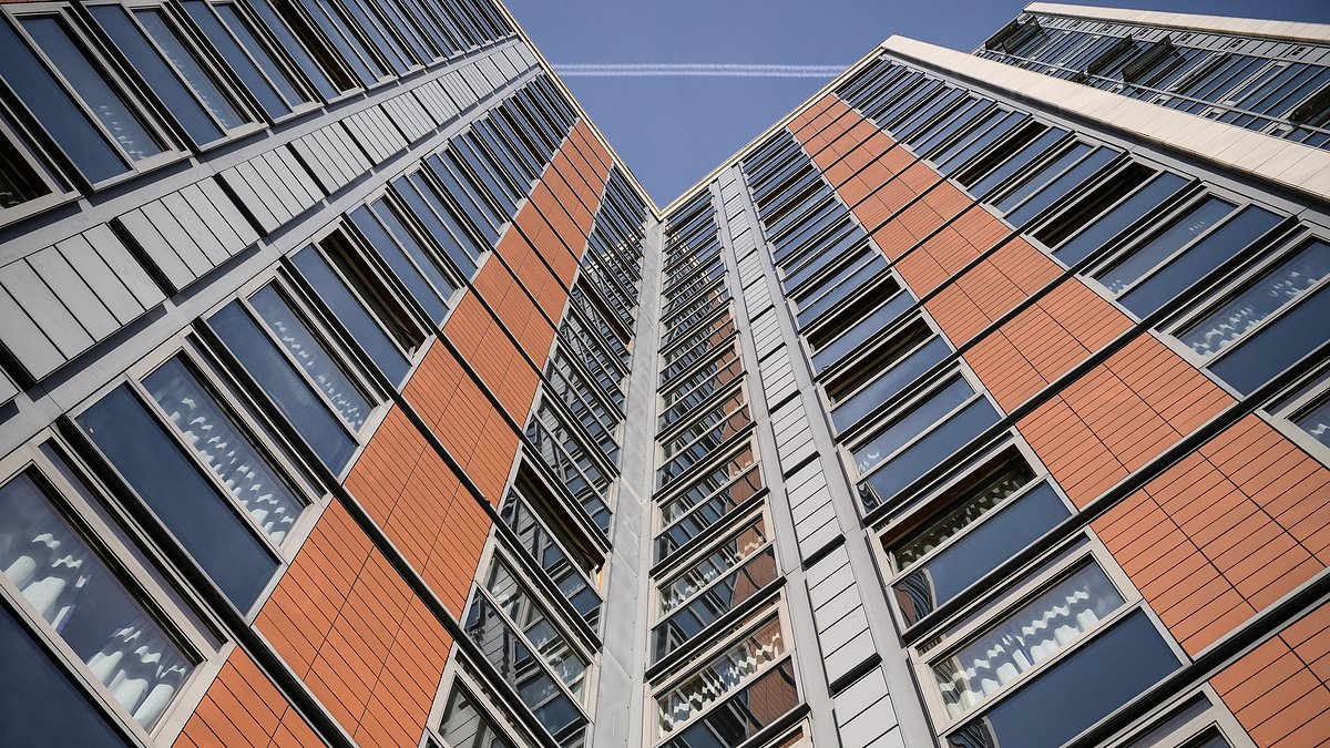 A demanda por alojamentos estudantis e escritórios luxuosos está ajudando a impulsionar a "renovação" do mercado imobiliário comercial