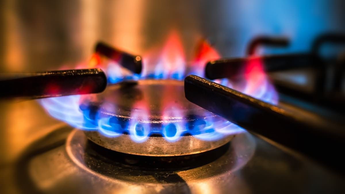 Un sistema difettoso fa sì che milioni di persone paghino bollette energetiche troppo elevate, afferma GABRIEL MCKEOWN