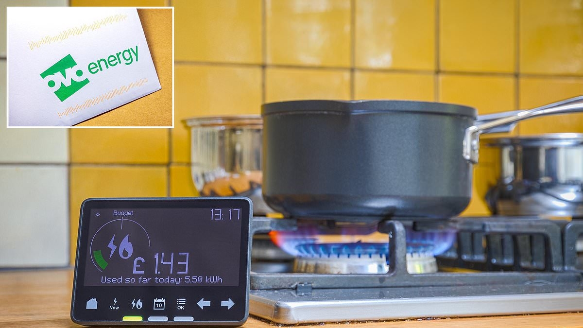 Ovo propose une offre d'énergie fixe 50 £ moins chère que le prix plafond - mais il faudra être rapide