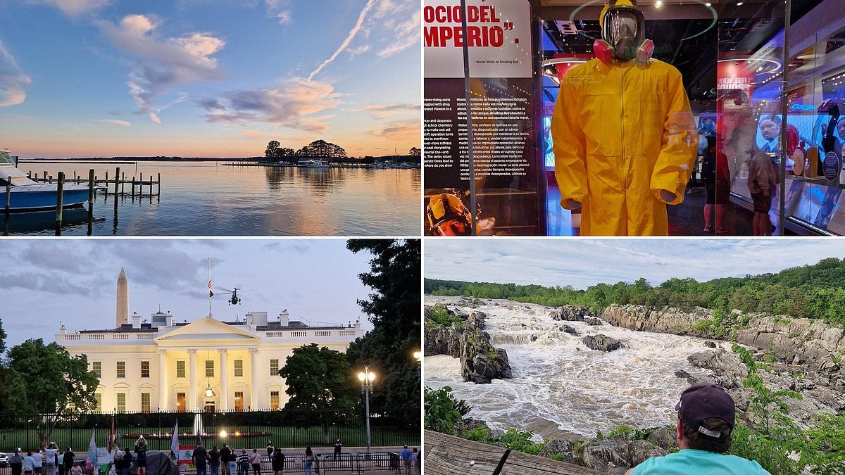 Ultimate Washington road trip: How a holiday to the capital region helped LEE BOYCE truly grasp US history and culture