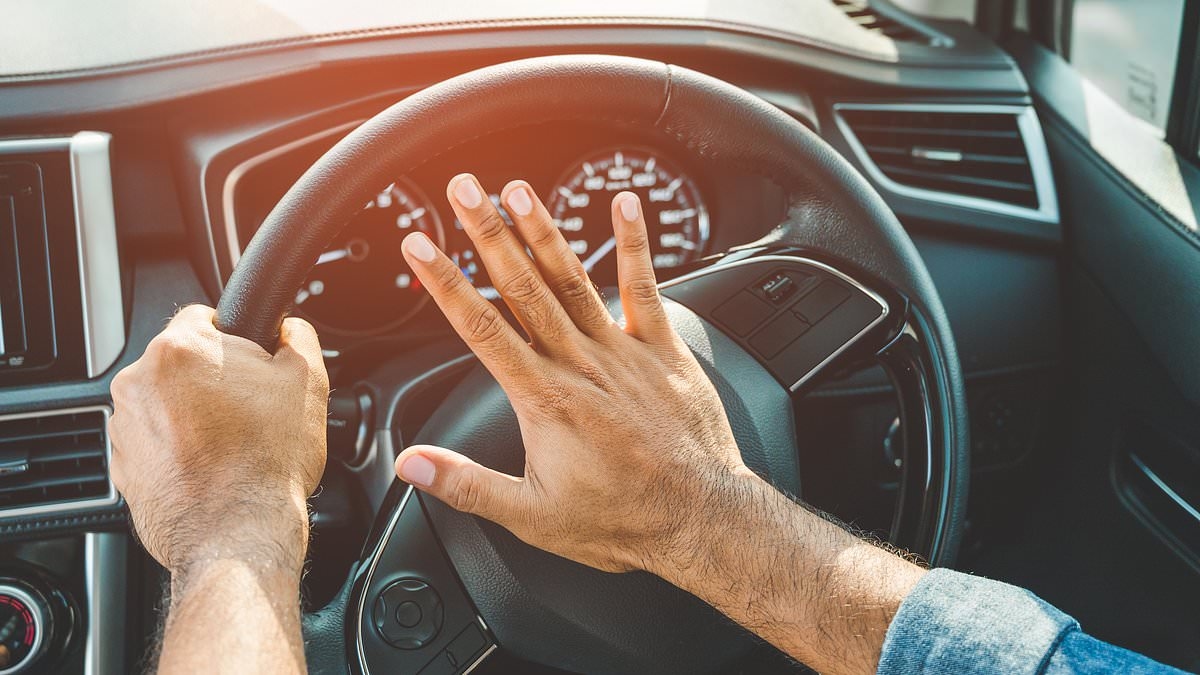 Can I really be fined for honking my car's horn when I pick my friend up?