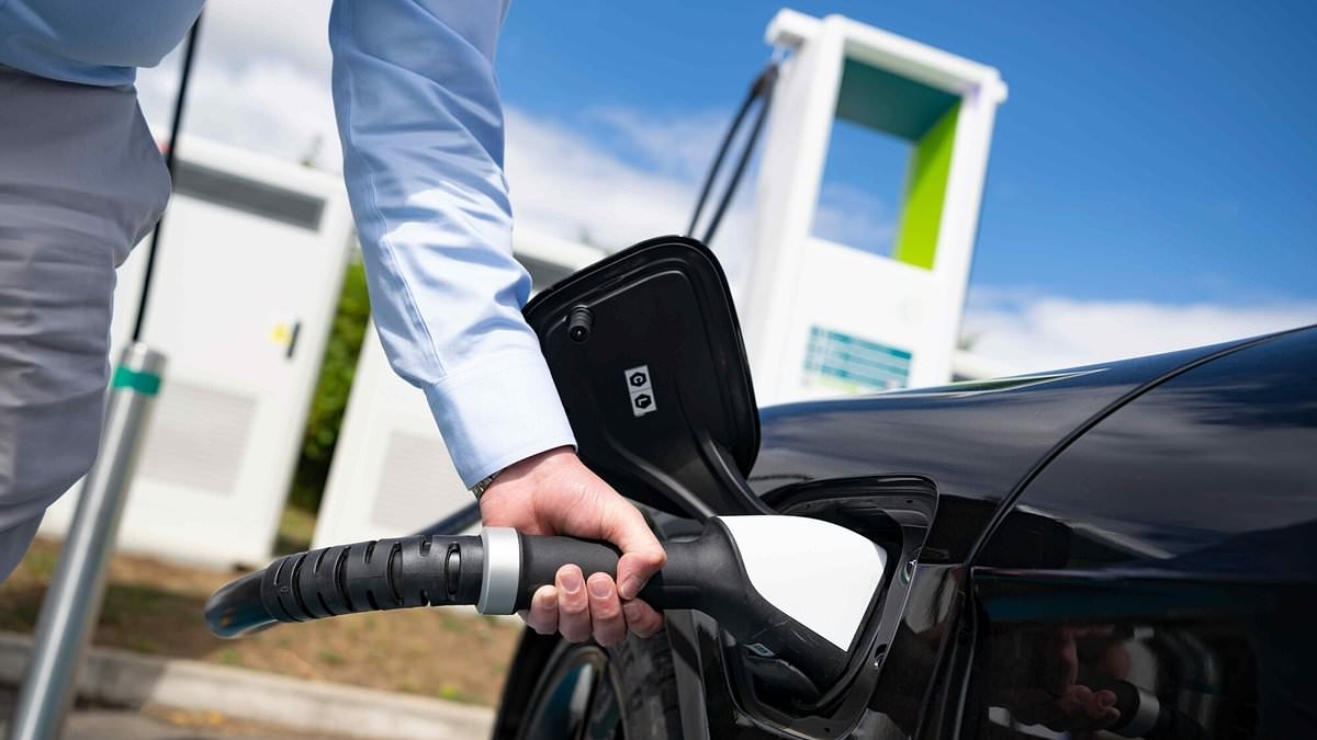 Gli otto veicoli elettrici più diffusi che non raggiungono mai la massima velocità di ricarica... e i due che ci riescono
