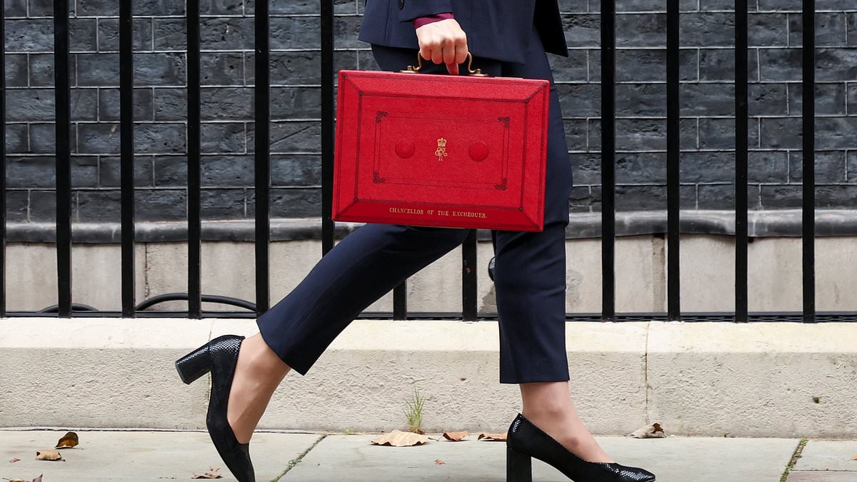 This is how much taxpayer money the Government wastes ferrying empty red despatch boxes in chauffeured cars