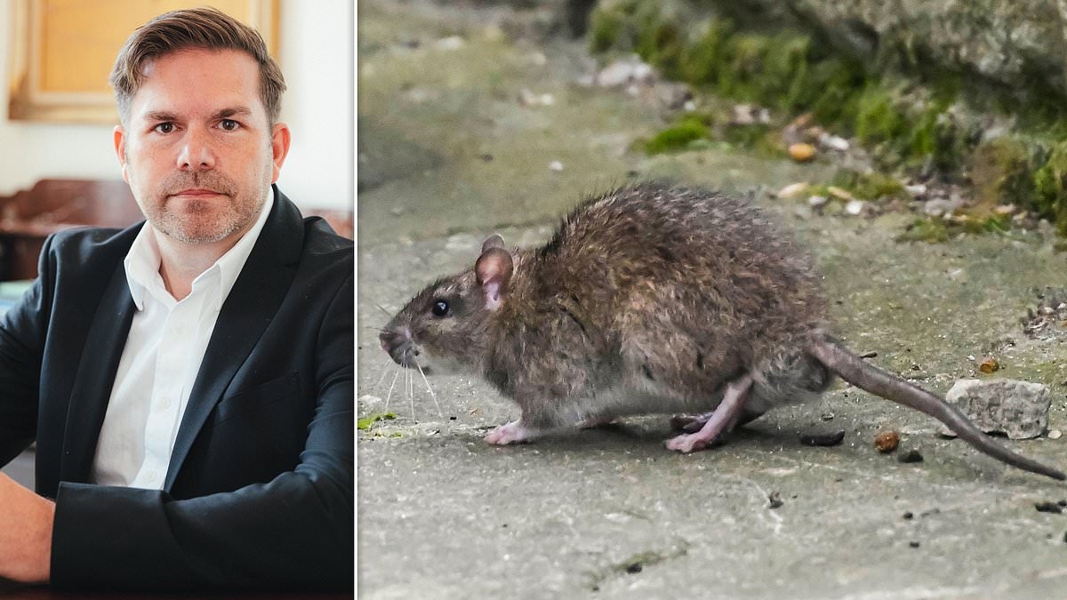 Des rats viennent du jardin de nos voisins. Que faire ? Réponse de l'avocat DEAN DUNHAM.