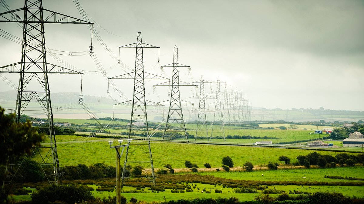 Политические волнения в Кардиффе ставят под угрозу план строительства 200-мильного столба