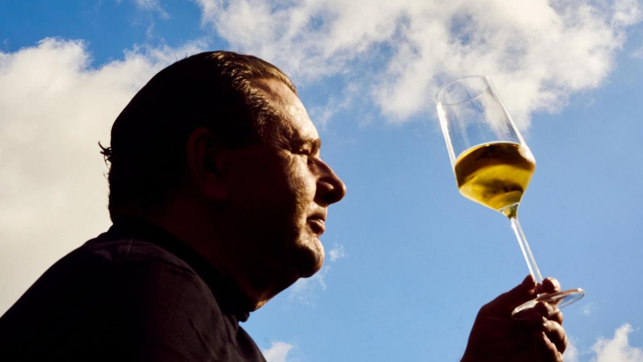Eredità: Collezione di vini ereditata – Quale vino dovrei vendere? | Capital+