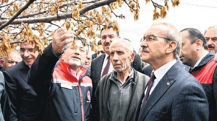 Las heladas agrícolas atrajeron la atención en los seguros agrícolas