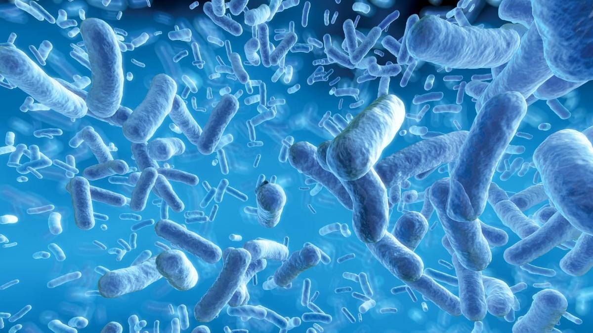 ILO approves first international convention on biological threats to workers