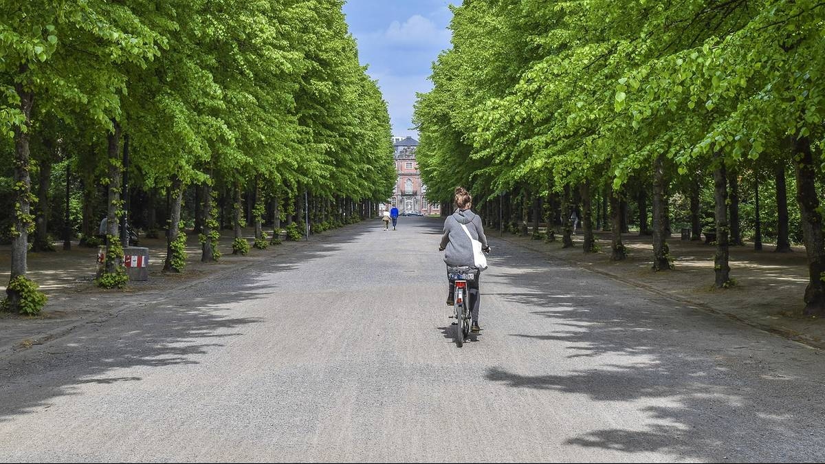 Up to PLN 4,500 for cyclists. The government will subsidize bicycles