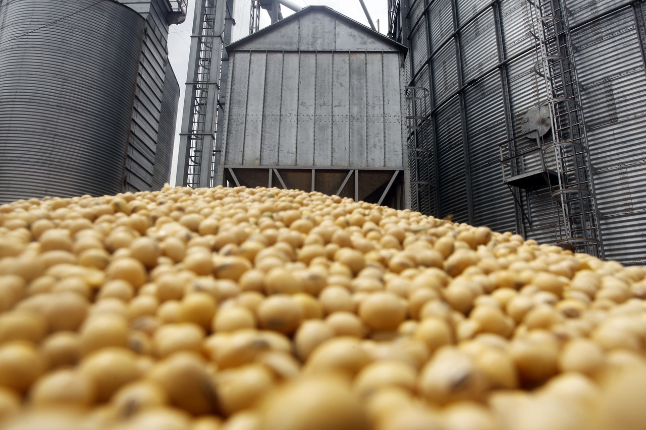 Combustível reduz produção de alimentos? Não no Brasil