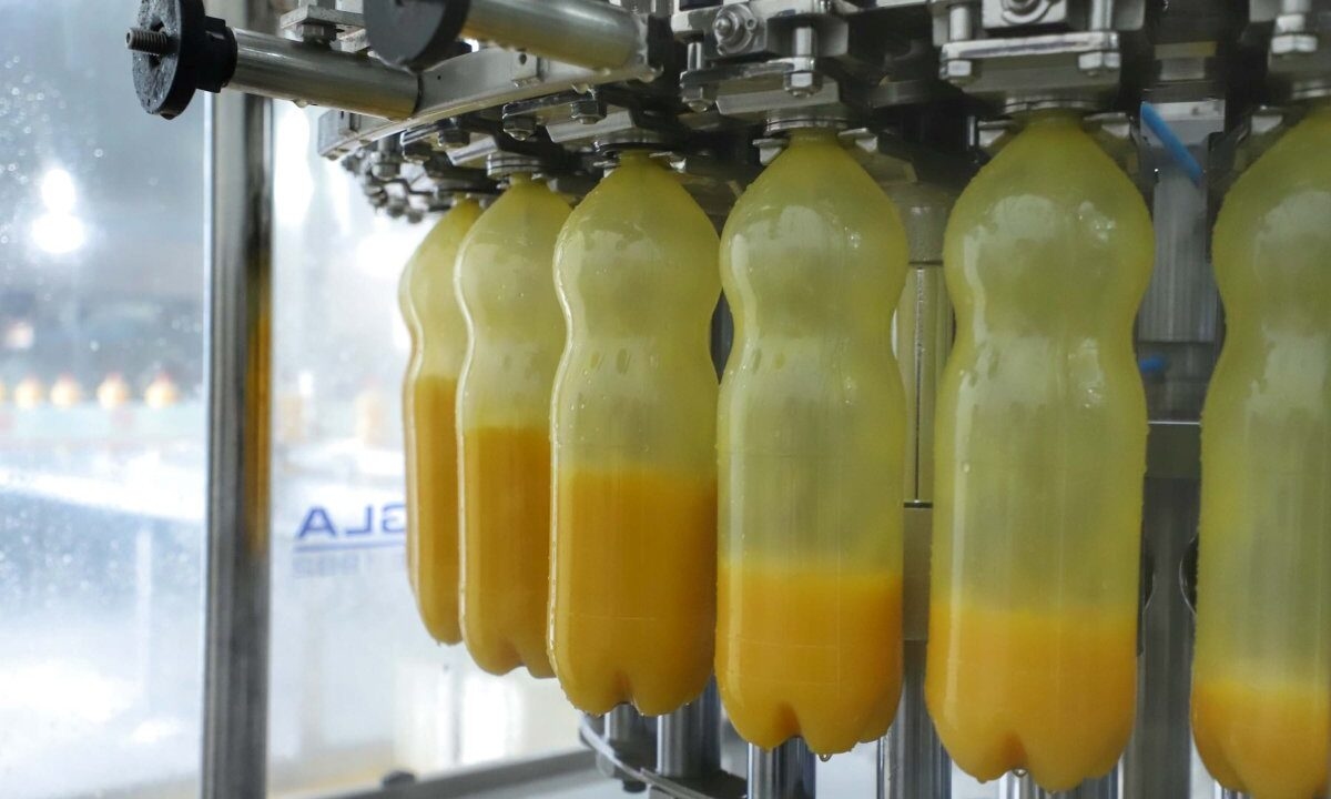 Vom Bauernhof zur Geschäfts-Sackgasse: Trumps Zollerhöhung bringt die Agrarindustrie in eine schwierige Lage