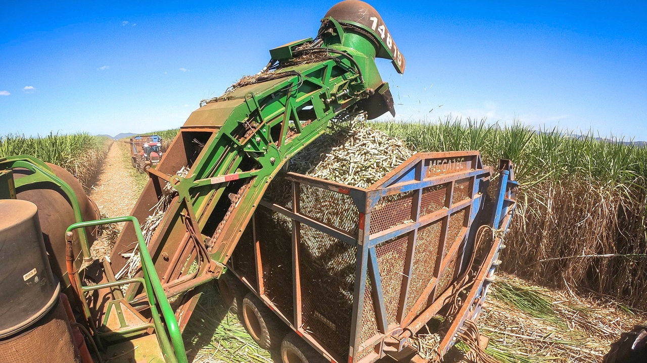 La hausse des tarifs douaniers pourrait éliminer 110 000 emplois et entraîner des pertes de plusieurs milliards de dollars pour les entreprises.