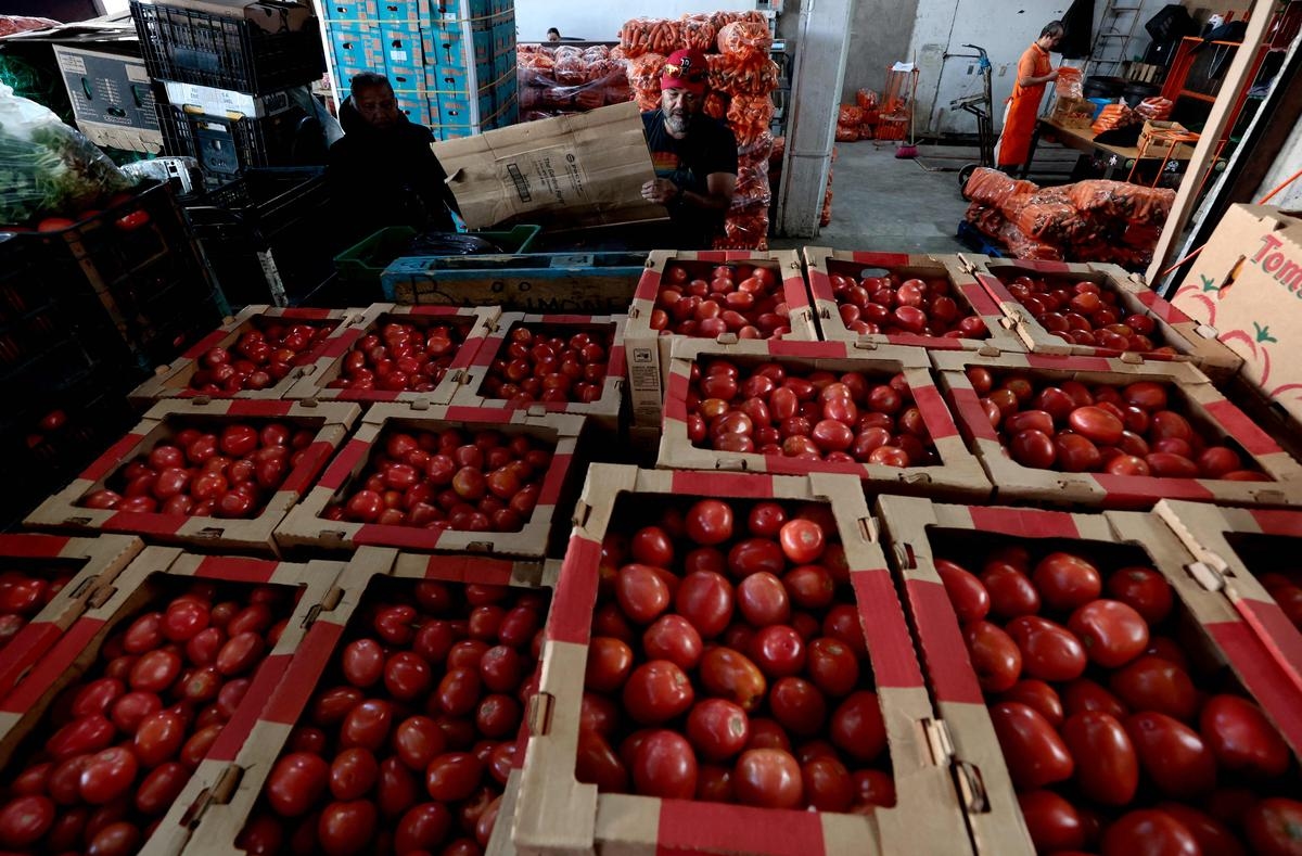 17% invoerrecht op Mexicaanse tomaten, die 90% van de Amerikaanse consumptie vertegenwoordigen