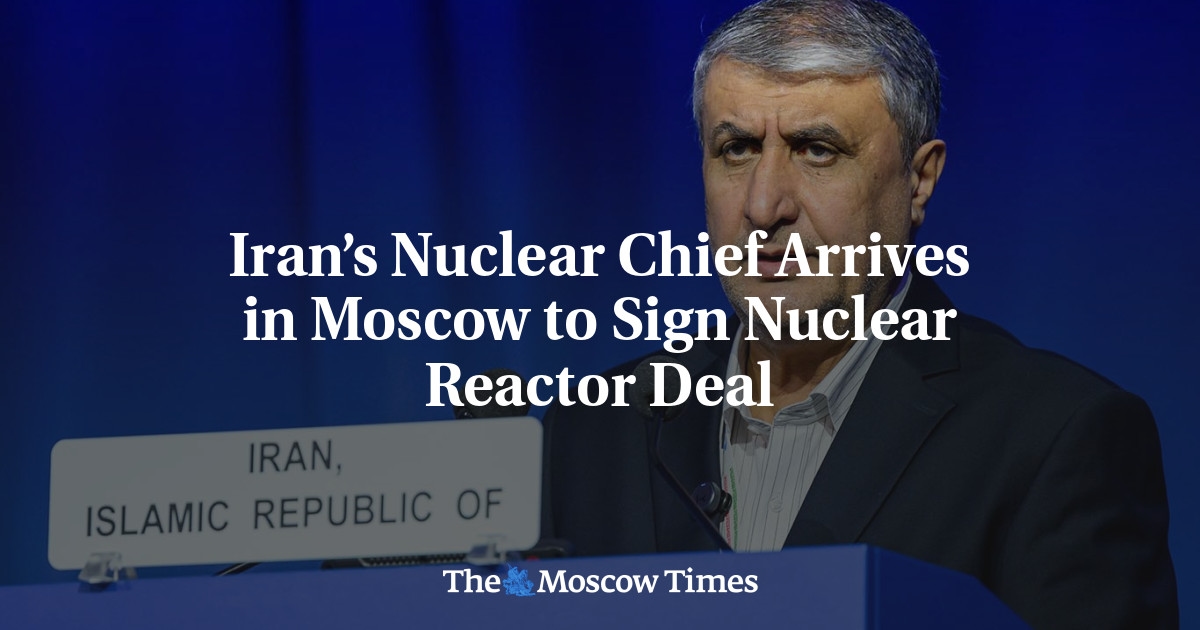 Irans Atomchef trifft in Moskau ein, um Atomreaktor-Abkommen zu unterzeichnen