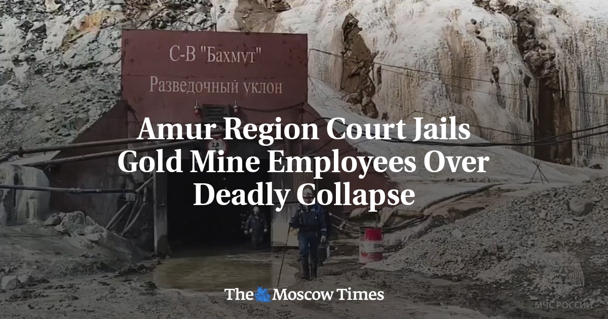 Amur Region Court Jails Gold Mine Employees Over Deadly Collapse