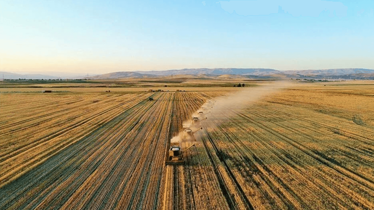 The danger of drought in agriculture! "Prices will skyrocket"