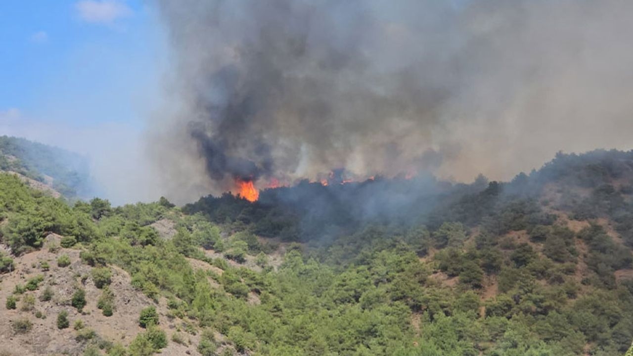 ¡Incendio forestal en Tokat!