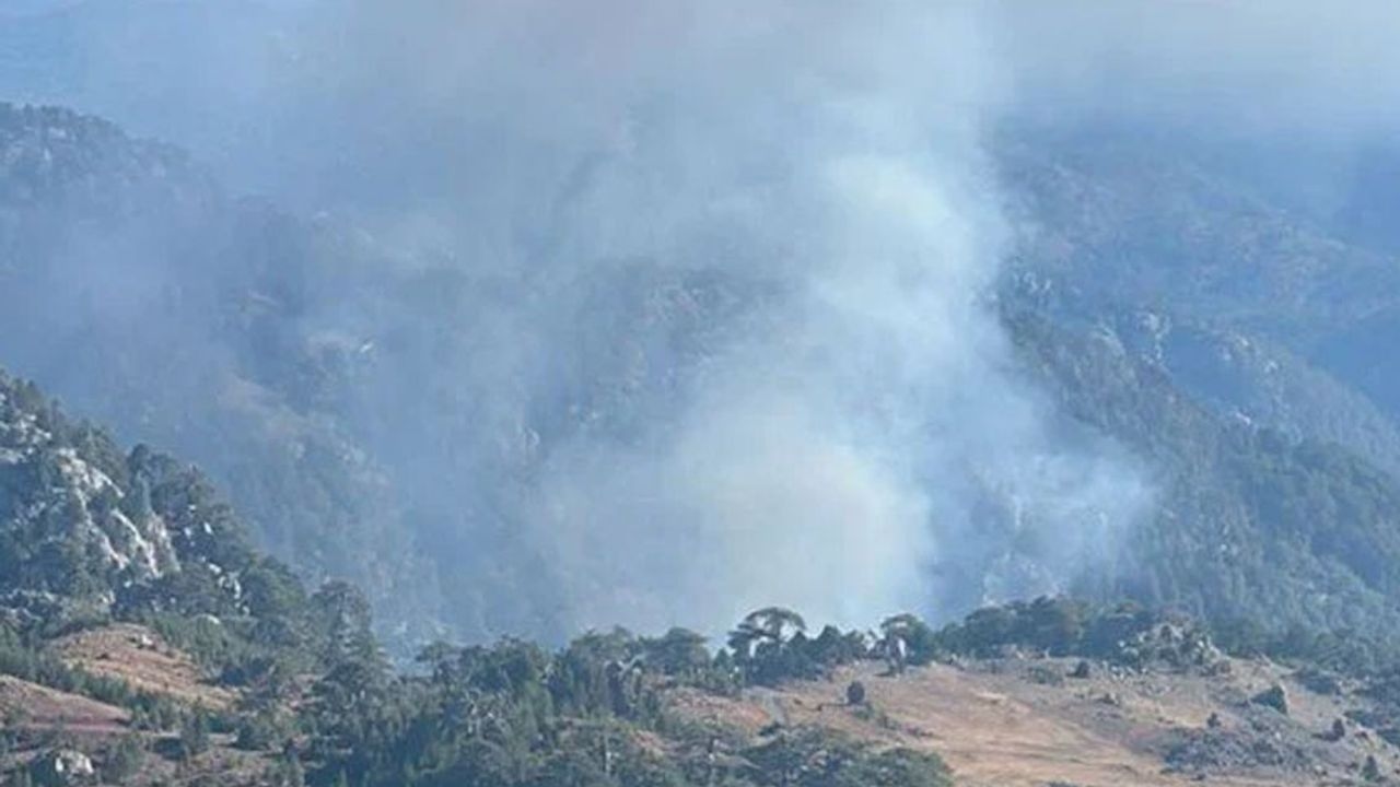 Forest fire in Muğla!
