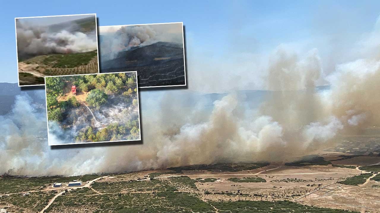 Unsere Lungen brennen! Die Intervention in den Flammen geht in 9 Provinzen weiter