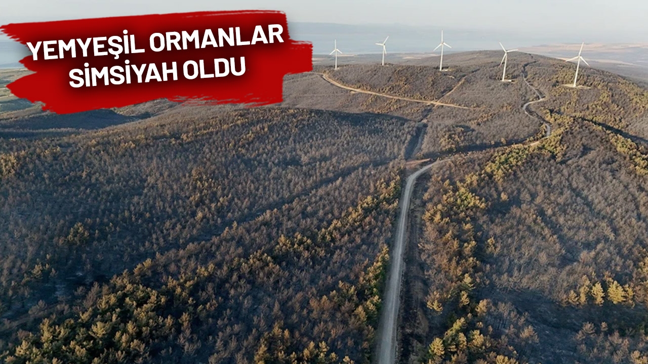 Tekirdağ vuur op de 3e dag!
