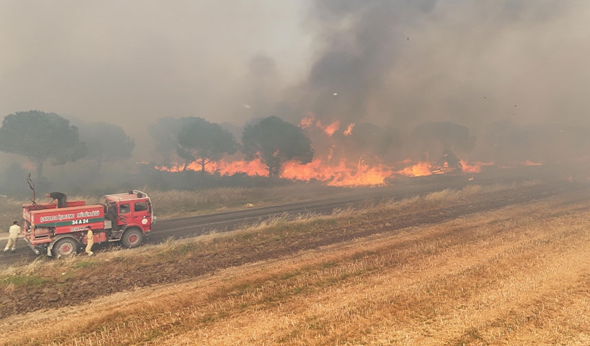 Un incendie se déclare dans une zone forestière à Silivri !