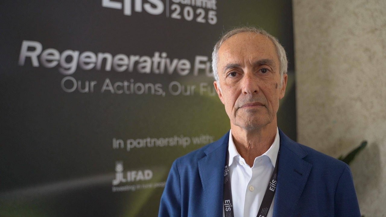 Sustainability: Tapella (Uiops), 'In Italy 95% of palm oil is certified sustainable'