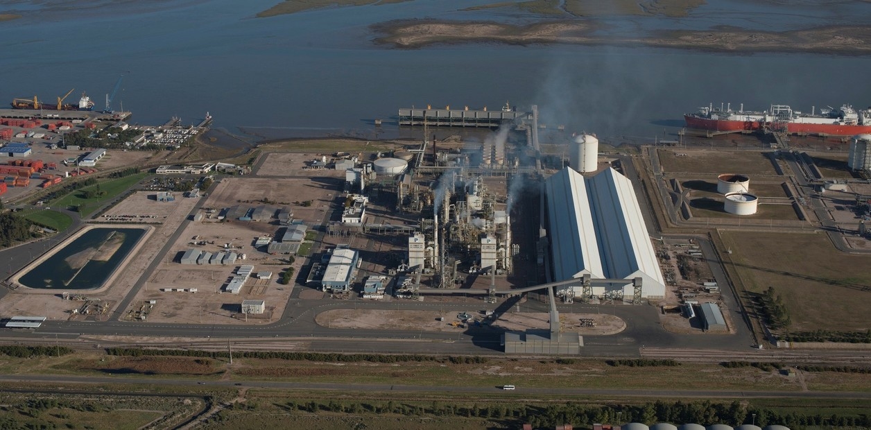 Una multinacional colgó el cartel de venta para el 50% del mayor productor de fertilizantes del país