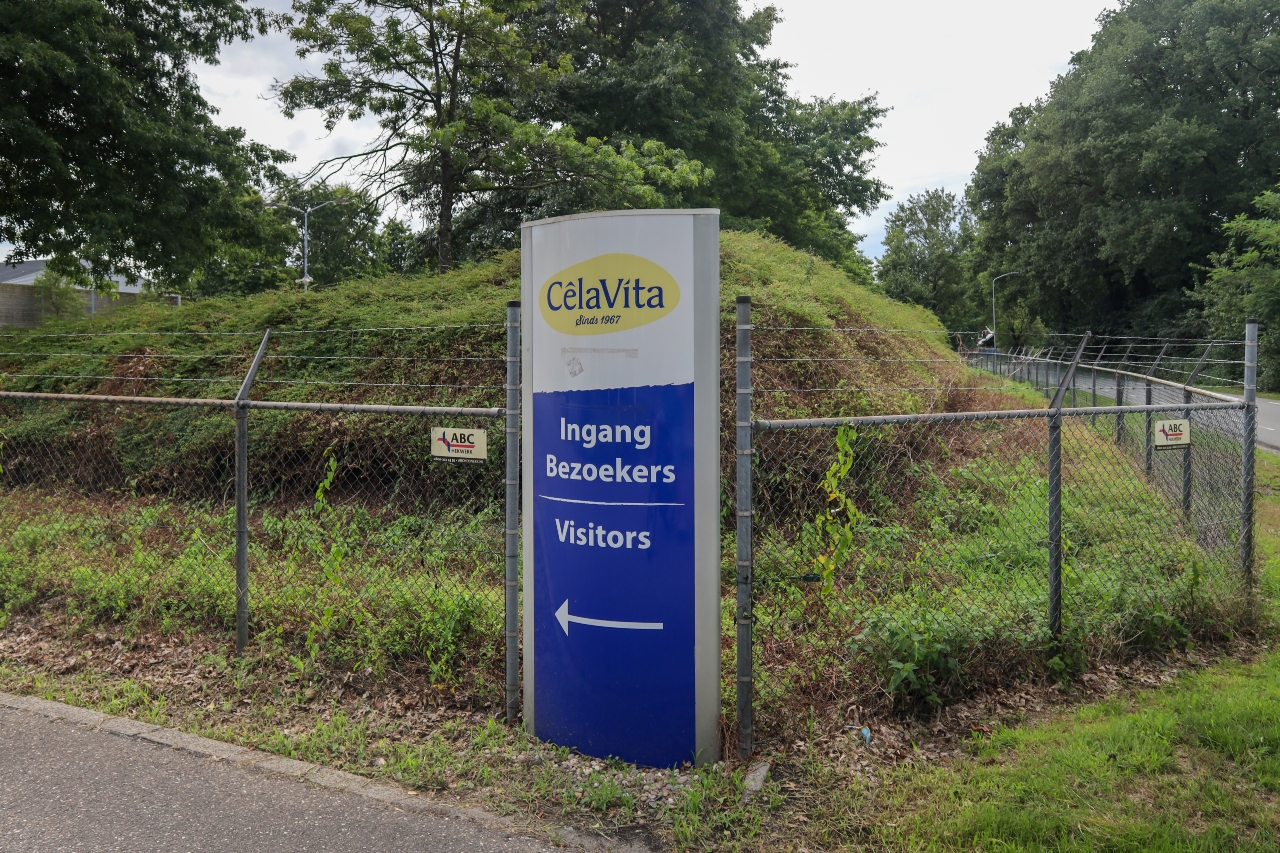 Chips are down as potato producer CêlaVita files for bankruptcy