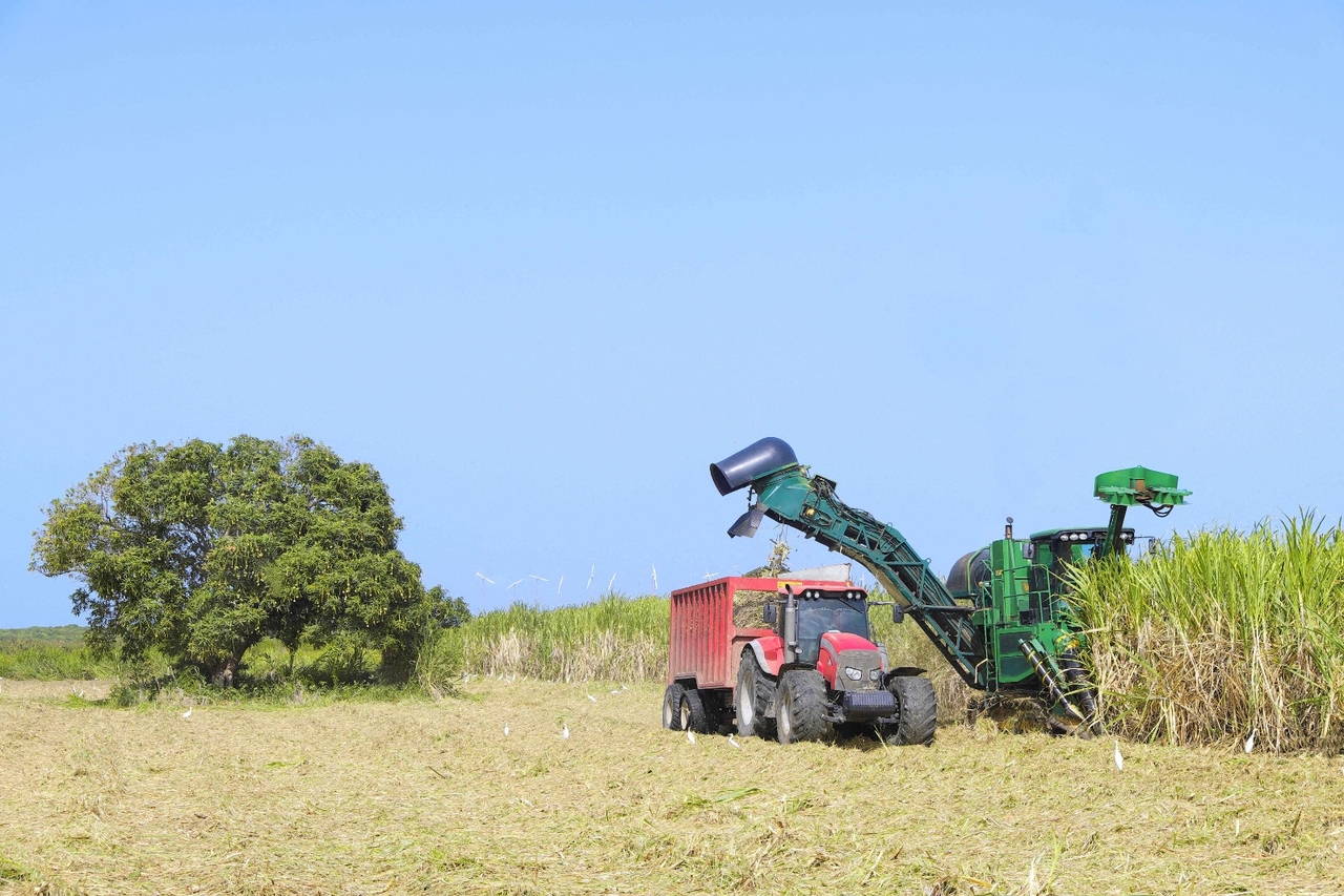 Victoire Violanes, new co-president of Modef: "Overseas, farmers pay twice as much as in mainland France"