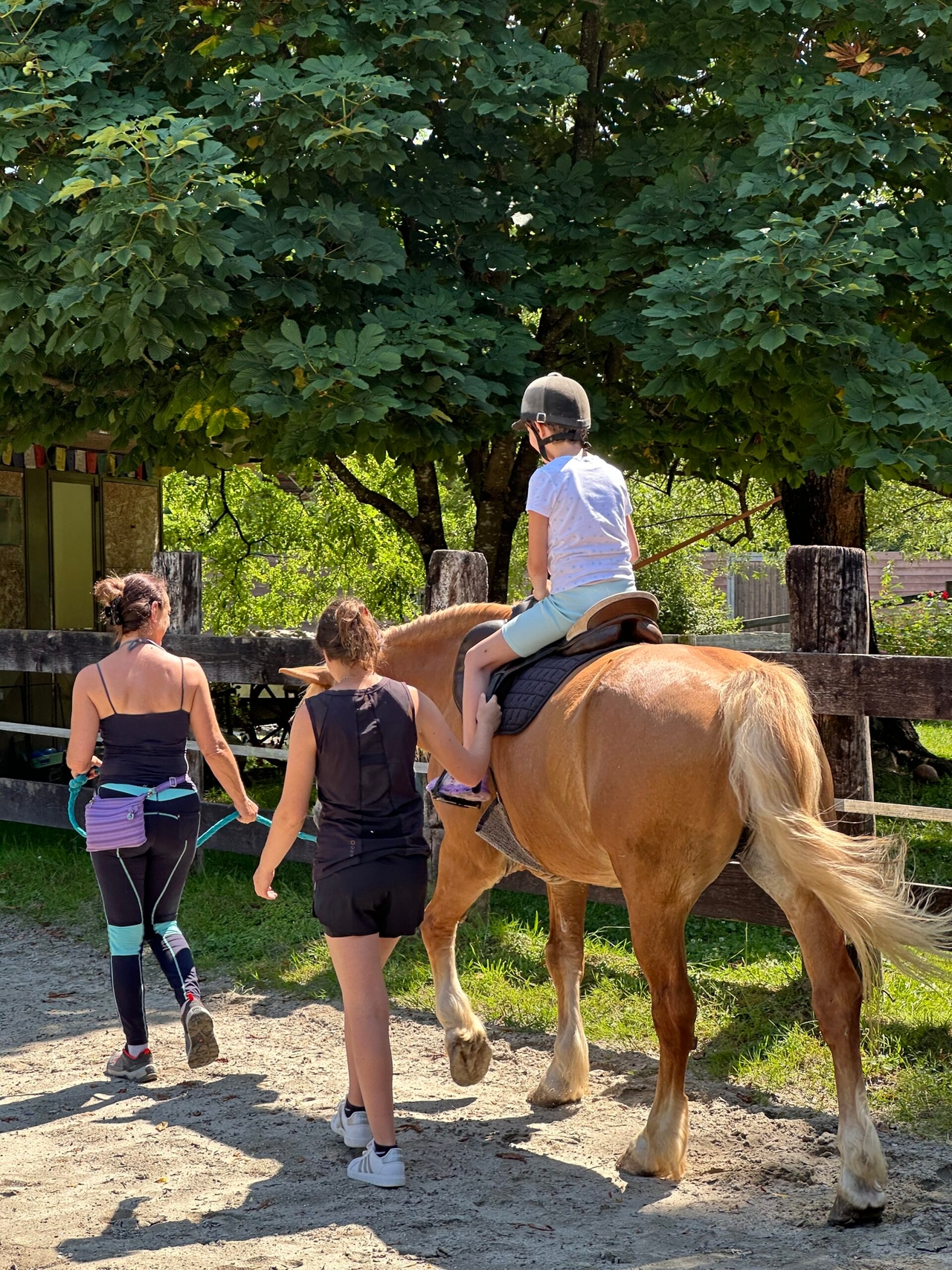 Mais de quarenta workshops e visitas a fazendas sociais no Alto Friuli estão em andamento