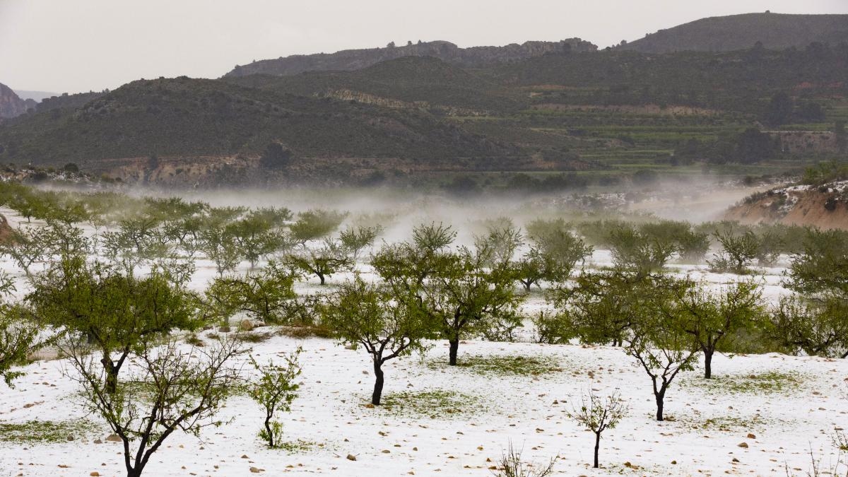 Kötü hava koşulları, daha fazla gıda güvensizliği