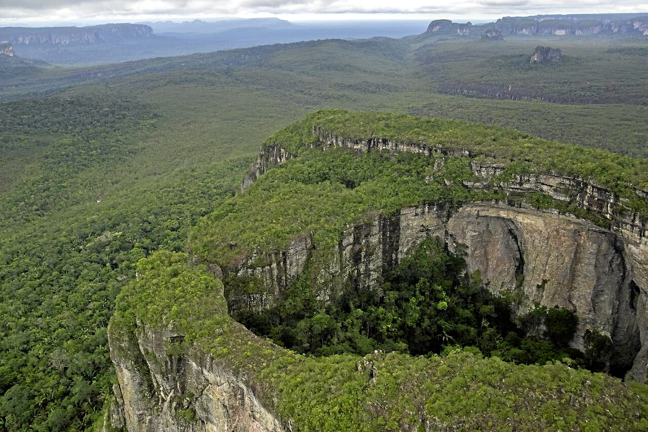 Fonds pour la préservation des forêts tropicales | Les forêts tropicales humides se dotent d'un mécanisme de financement dédié