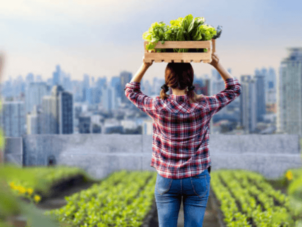 Conflicto, clima y pobreza agravan la inseguridad alimentaria en Colombia