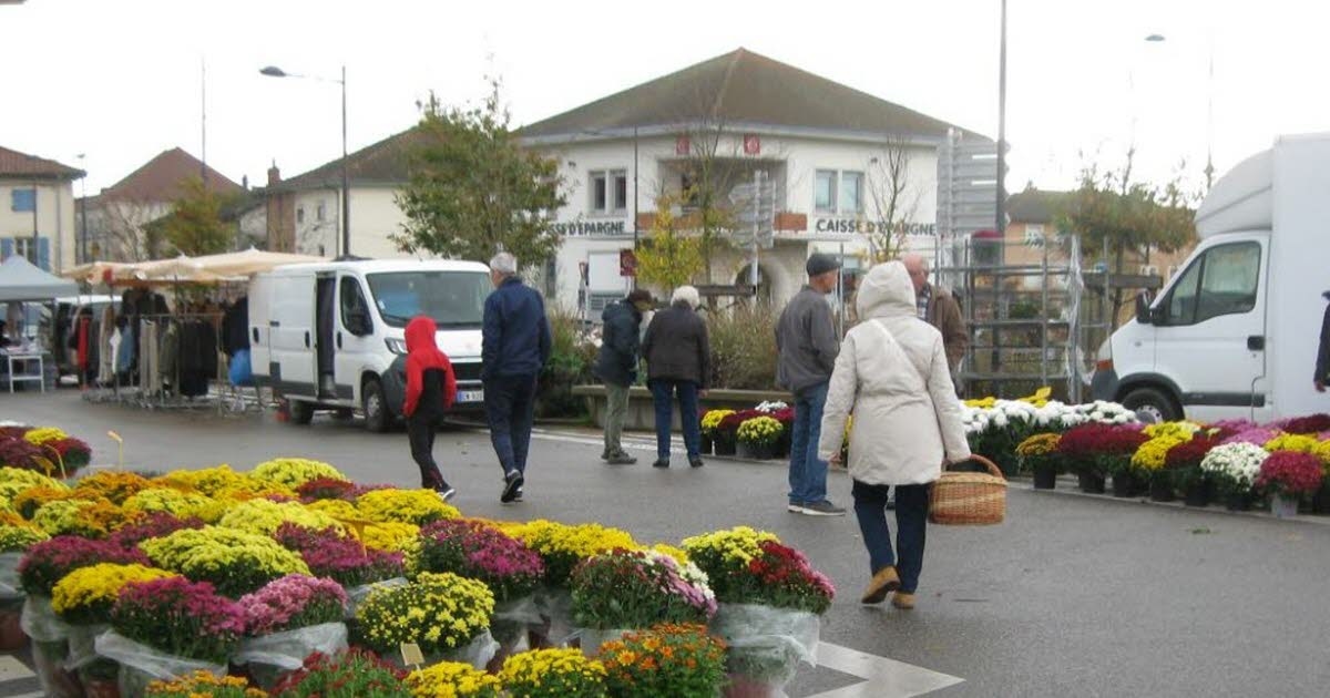 Montrevel-en-Bresse. Brezos, ciclámenes, pensamientos… El mercado de flores ofrecía una amplia selección de variedades de plantas.