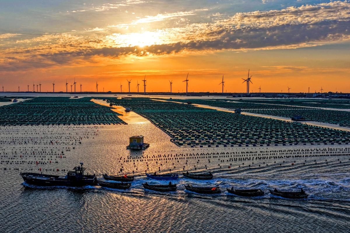 „China, offiziell kommunistisch, ist wahrscheinlich der erfolgreichste ‚grüne‘ kapitalistische Staat der Welt.“