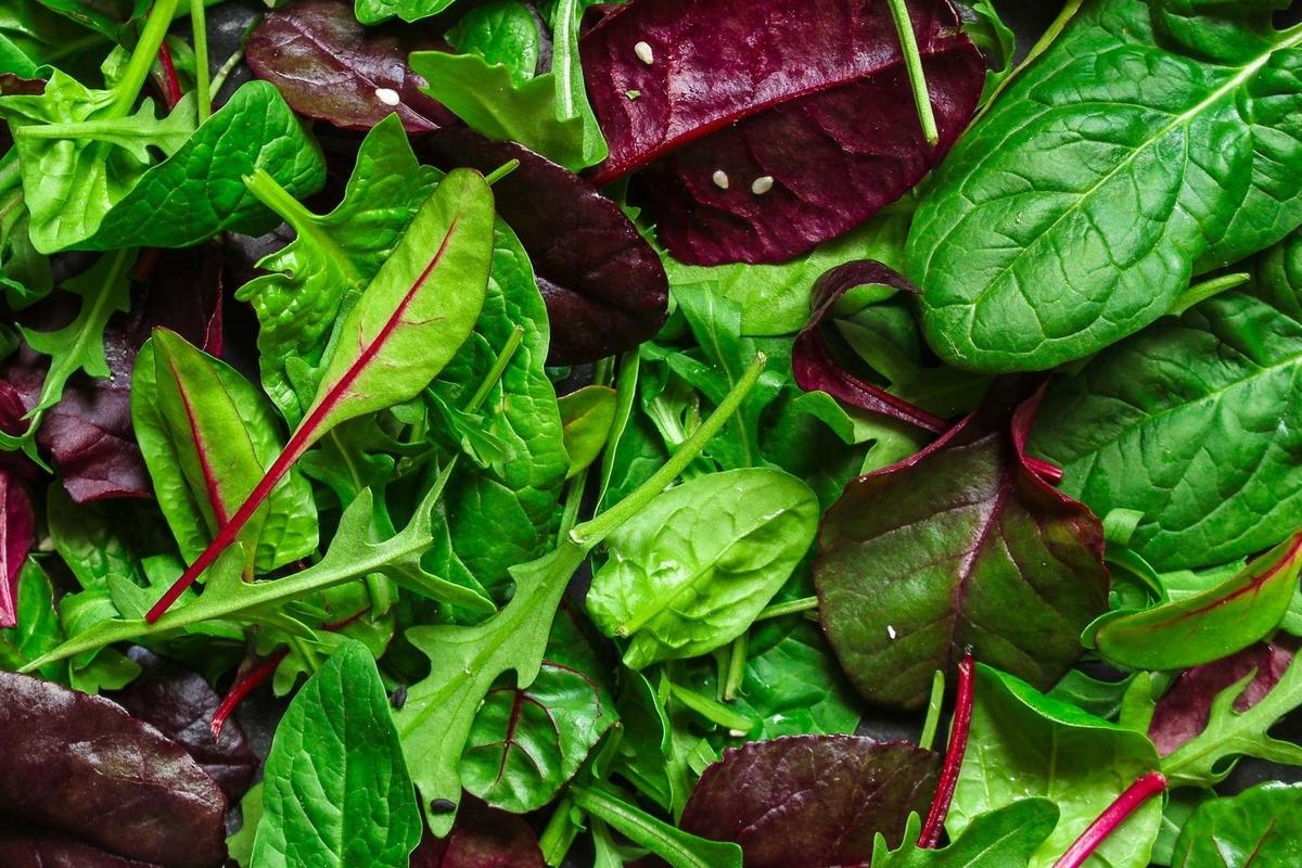 Salat: Entdecken Sie seine unerwarteten gesundheitlichen Vorteile neu